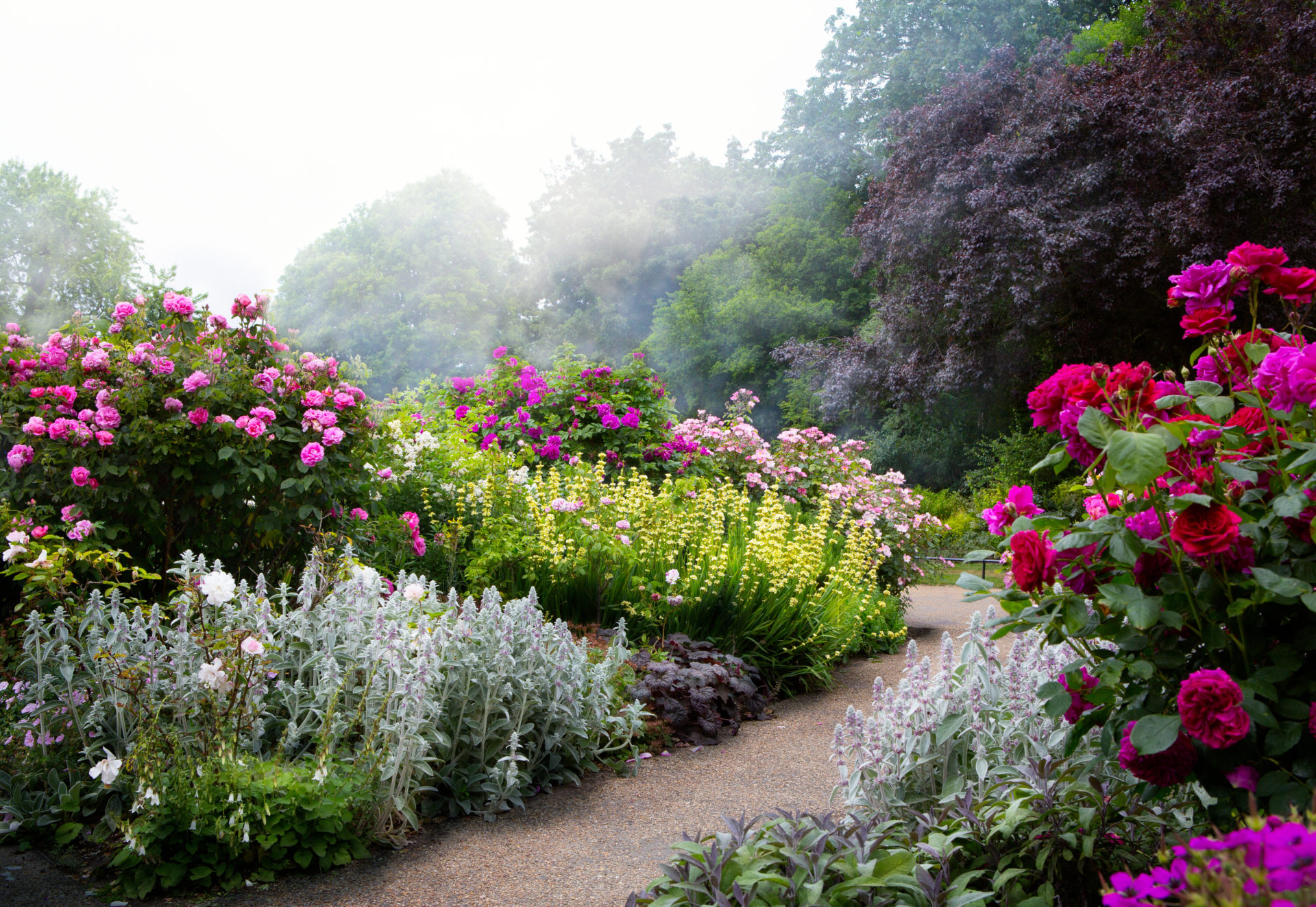 Jardins de fleurs avec allée centrale dans les Vosges