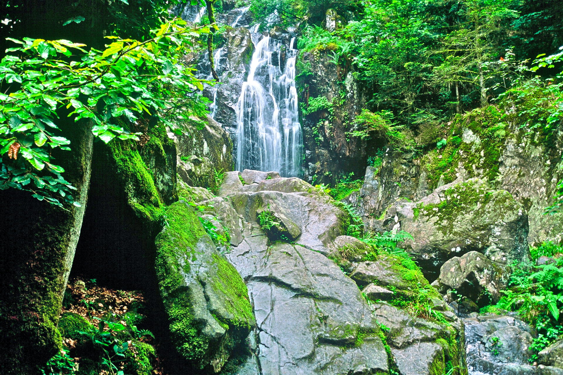 Cascade du Tendon dans les Vosges