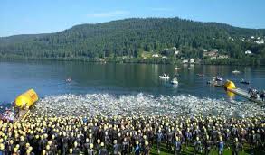 Vosges Campings Actualites Portail 40