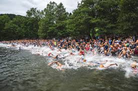 Vosges Campings Actualites Portail 38